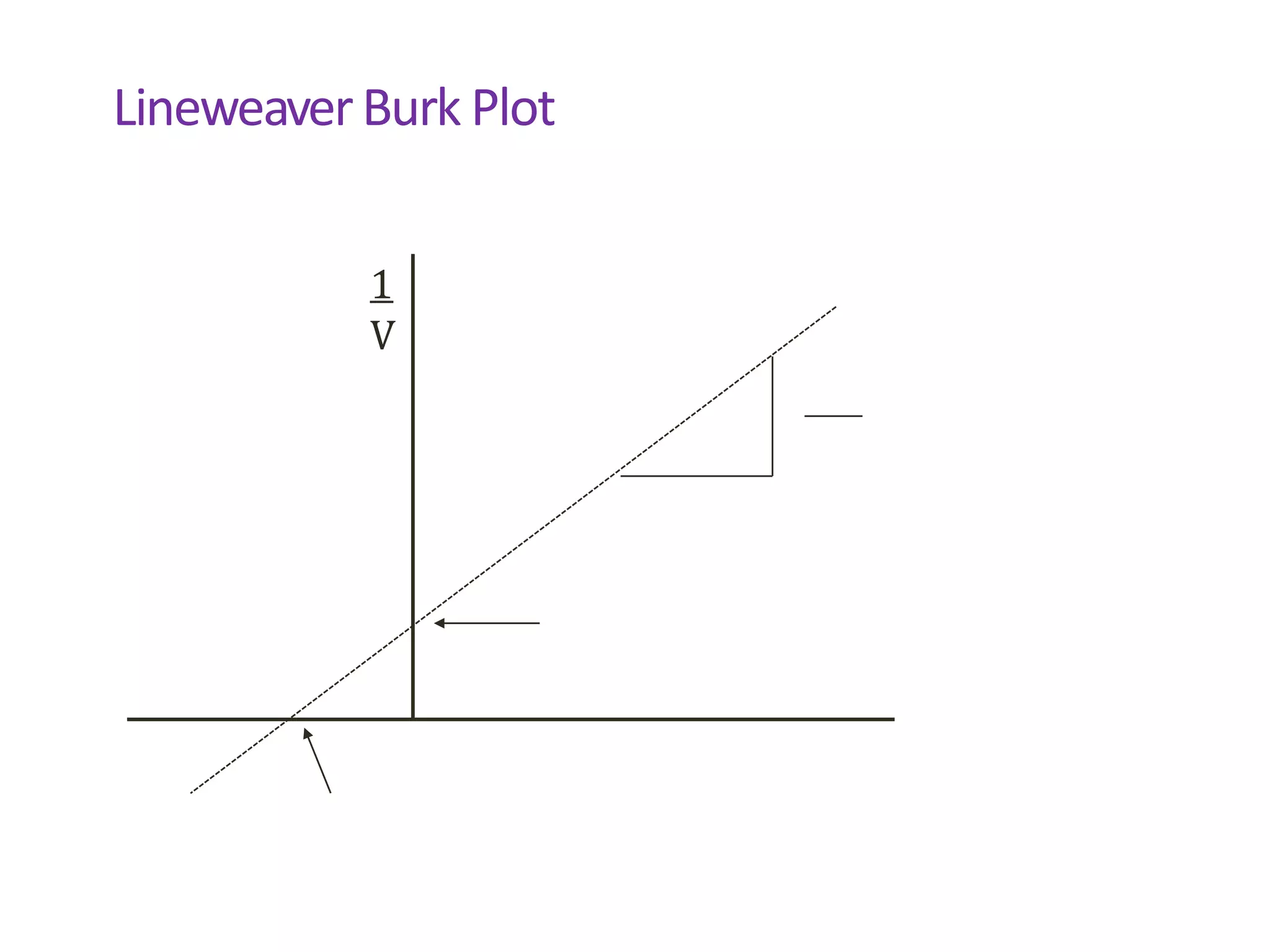 LineweaverBurk Plot
1
V
 