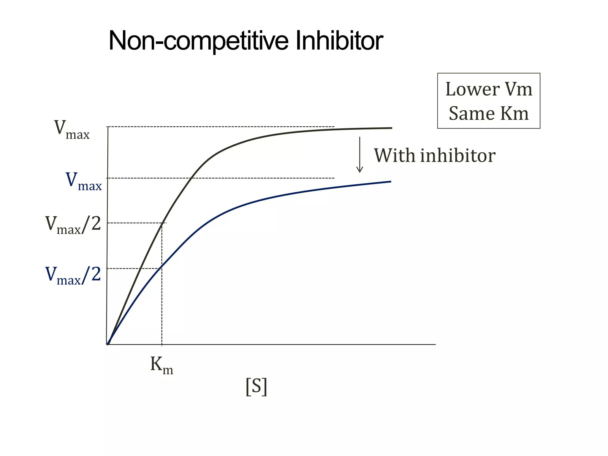 Vmax
With inhibitor
Vmax
Vmax/2
Vmax/2
Lower Vm
Same Km
Km
[S]
Non-competitive Inhibitor
 