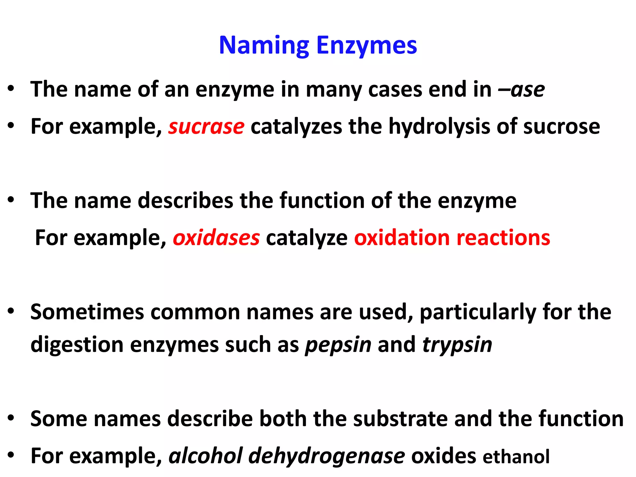 Naming Enzymes
• The name of an enzyme in many cases end in –ase
• For example, sucrase catalyzes the hydrolysis of sucrose
• The name describes the function of the enzyme
For example, oxidases catalyze oxidation reactions
• Sometimes common names are used, particularly for the
digestion enzymes such as pepsin and trypsin
• Some names describe both the substrate and the function
• For example, alcohol dehydrogenase oxides ethanol
 