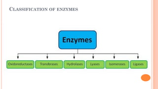 CLASSIFICATION OF ENZYMES
 