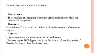 CLASSIFICATION OF ENZYMES
Isomerases
 They catalyze the transfer of groups within molecules to yield an
isomer of a compound.
Example:
Conversion of fumaric acid to maleic acid in the presence of fumarase
enzyme.
Ligases
 Ligases catalyze the association of two molecules.
For example, DNA ligase catalyzes the joining of two fragments of
DNA by forming a phosphodiester bond
 