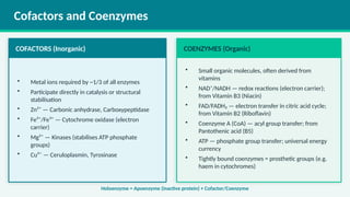 Enzymes in Biological Systems: Structure, Function, and Applications | PPTX
