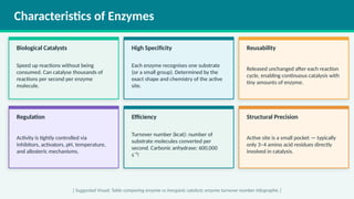 Enzymes in Biological Systems: Structure, Function, and Applications | PPTX