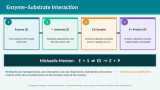 Enzymes in Biological Systems: Structure, Function, and Applications | PPTX