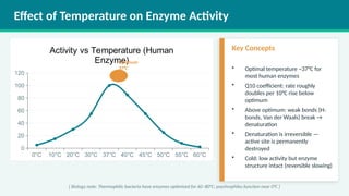 Enzymes in Biological Systems: Structure, Function, and Applications | PPTX