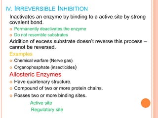 ENZYMES Quick Study Notes Slides.pptx