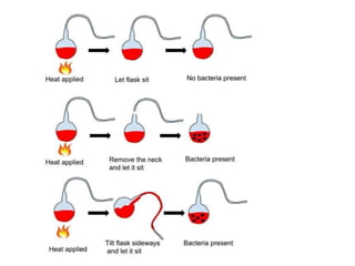 ENZYMES REACTIONs ppt..ppt