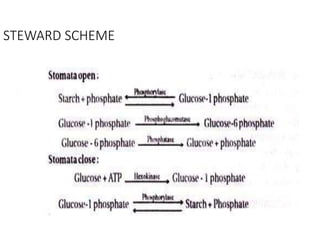 ENZYMES REACTIONs ppt..ppt