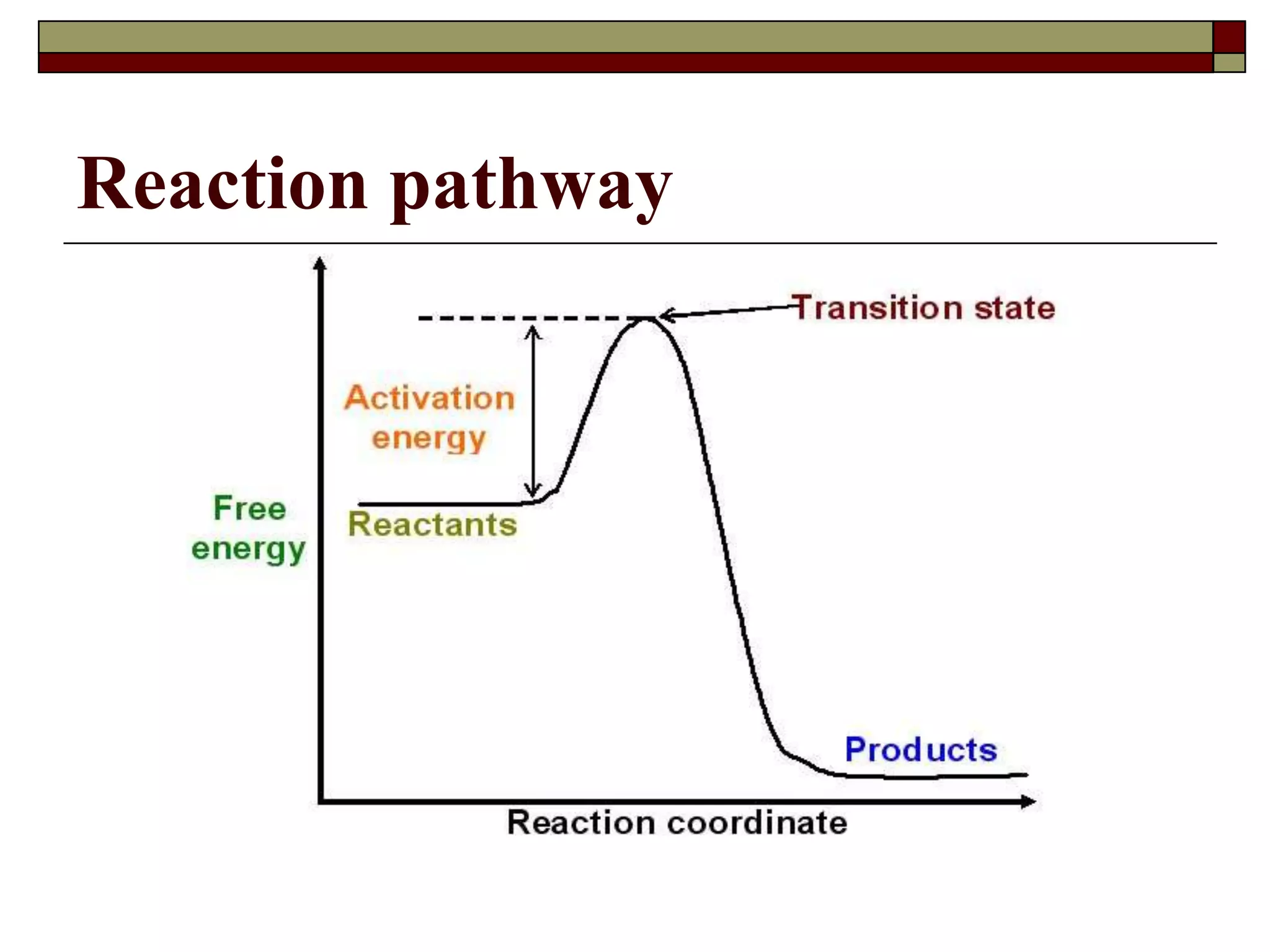 Reaction pathway
 