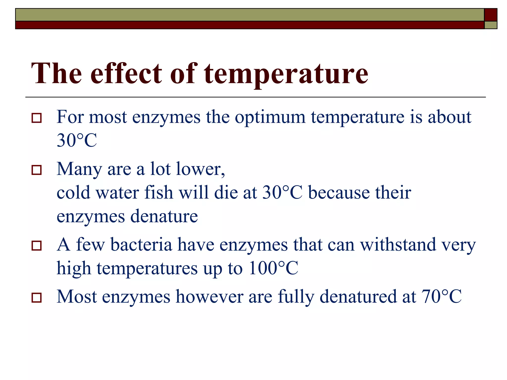 The effect of temperature
 For most enzymes the optimum temperature is about
30°C
 Many are a lot lower,
cold water fish will die at 30°C because their
enzymes denature
 A few bacteria have enzymes that can withstand very
high temperatures up to 100°C
 Most enzymes however are fully denatured at 70°C
 