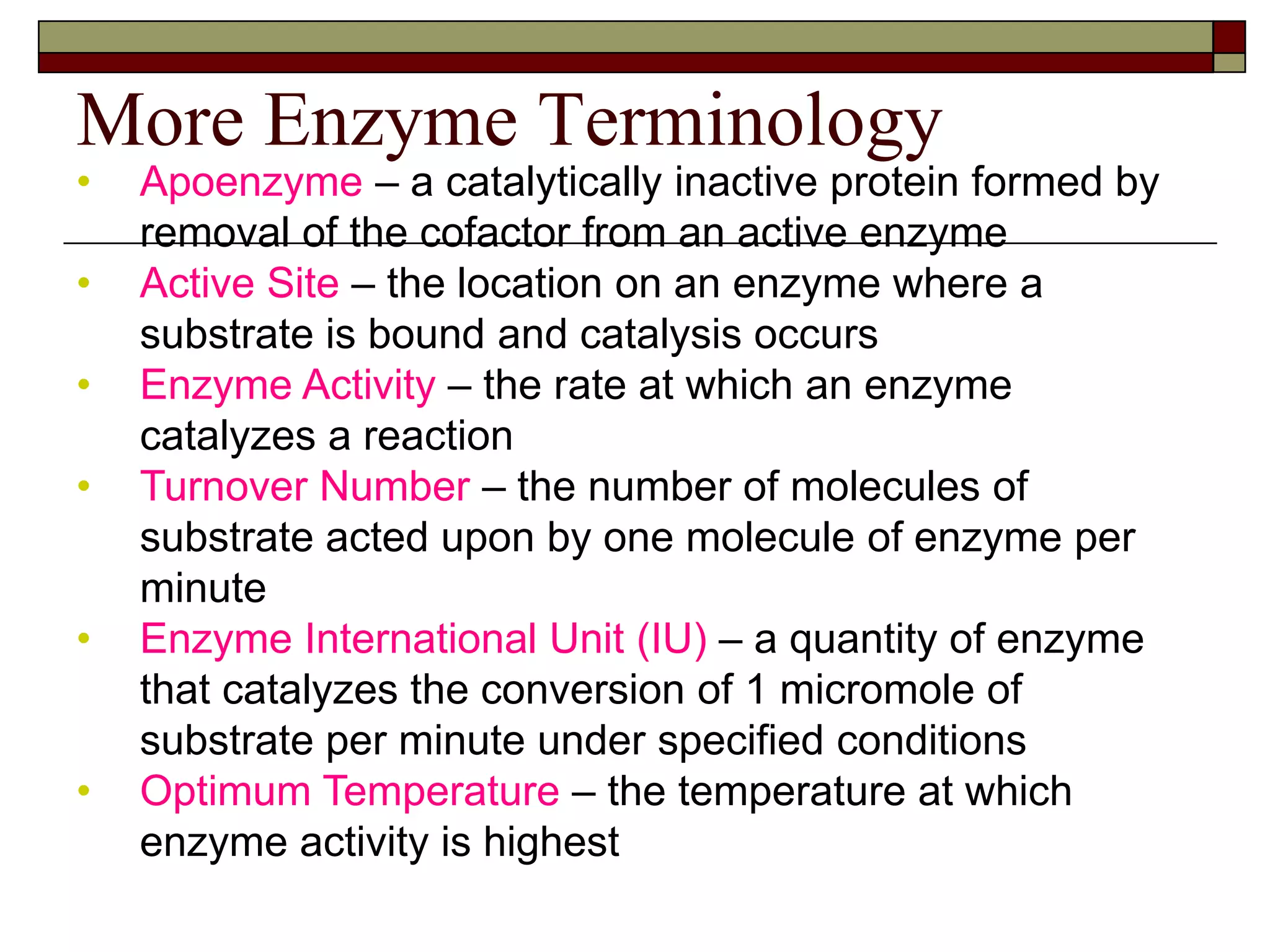 More Enzyme Terminology
• Apoenzyme – a catalytically inactive protein formed by
removal of the cofactor from an active enzyme
• Active Site – the location on an enzyme where a
substrate is bound and catalysis occurs
• Enzyme Activity – the rate at which an enzyme
catalyzes a reaction
• Turnover Number – the number of molecules of
substrate acted upon by one molecule of enzyme per
minute
• Enzyme International Unit (IU) – a quantity of enzyme
that catalyzes the conversion of 1 micromole of
substrate per minute under specified conditions
• Optimum Temperature – the temperature at which
enzyme activity is highest
 