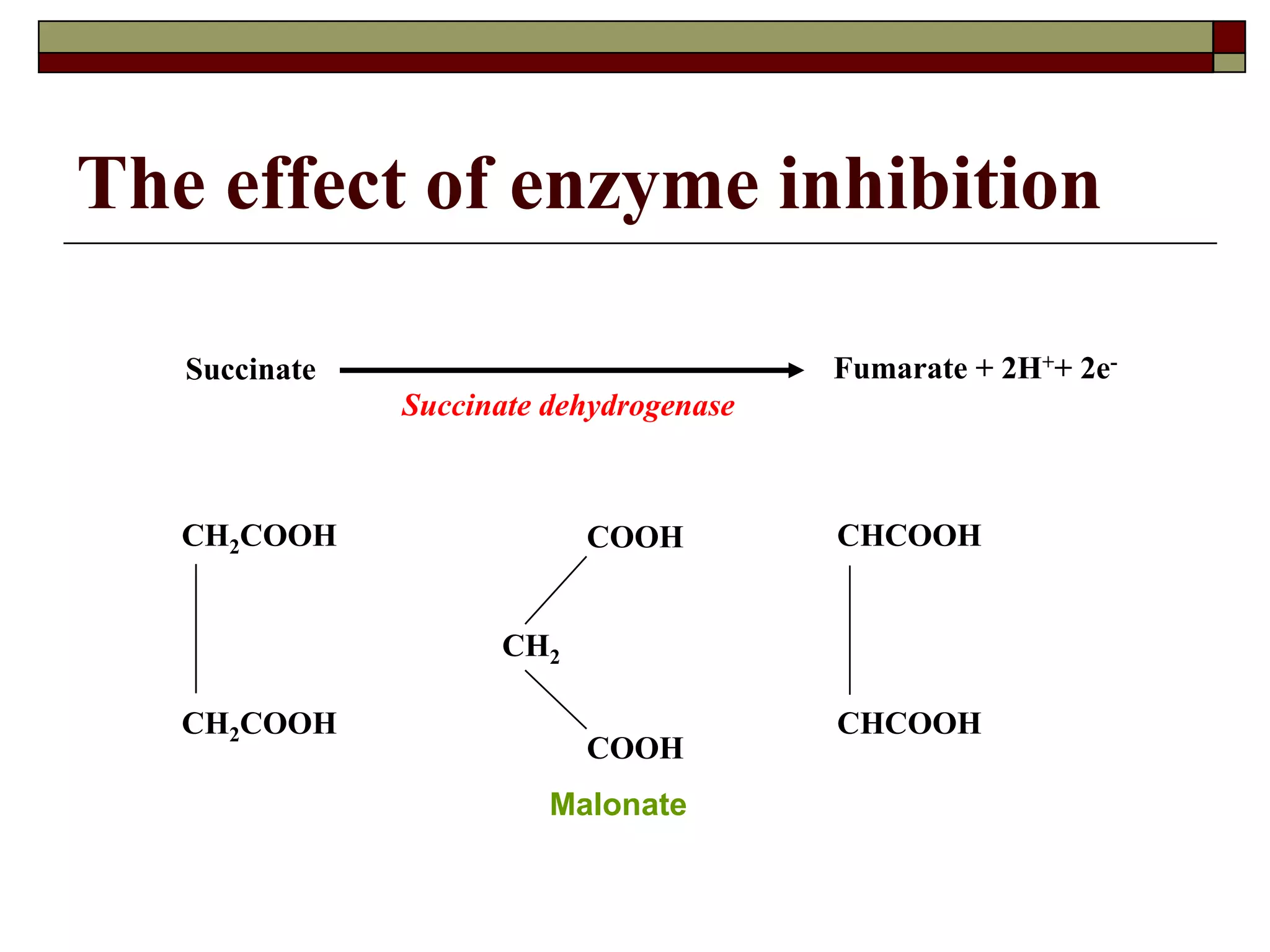 The effect of enzyme inhibition
Succinate Fumarate + 2H++ 2e-
Succinate dehydrogenase
CH2COOH
CH2COOH CHCOOH
CHCOOH
COOH
COOH
CH2
Malonate
 