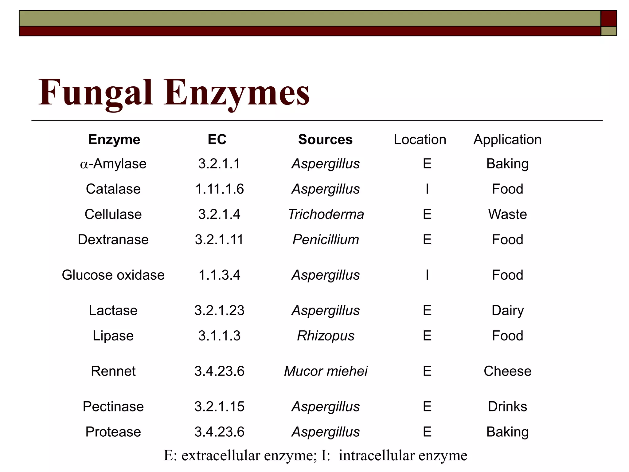 Fungal Enzymes
Enzyme EC Sources Location Application
a-Amylase 3.2.1.1 Aspergillus E Baking
Catalase 1.11.1.6 Aspergillus I Food
Cellulase 3.2.1.4 Trichoderma E Waste
Dextranase 3.2.1.11 Penicillium E Food
Glucose oxidase 1.1.3.4 Aspergillus I Food
Lactase 3.2.1.23 Aspergillus E Dairy
Lipase 3.1.1.3 Rhizopus E Food
Rennet 3.4.23.6 Mucor miehei E Cheese
Pectinase 3.2.1.15 Aspergillus E Drinks
Protease 3.4.23.6 Aspergillus E Baking
E: extracellular enzyme; I: intracellular enzyme
 