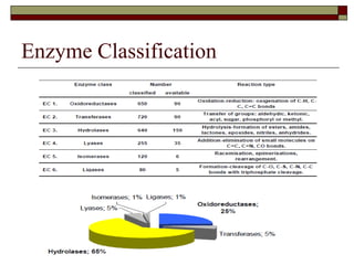 Enzymes, Structure, Classification and Mechanism Dr.Kamlesh shah ...