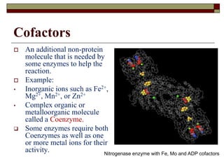 Enzymes, Structure, Classification and Mechanism Dr.Kamlesh shah, PSSHDA, KADI