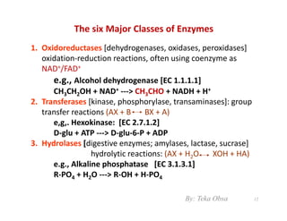 Obsa Class Enzymes | PDF