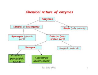 Enzymes | PDF