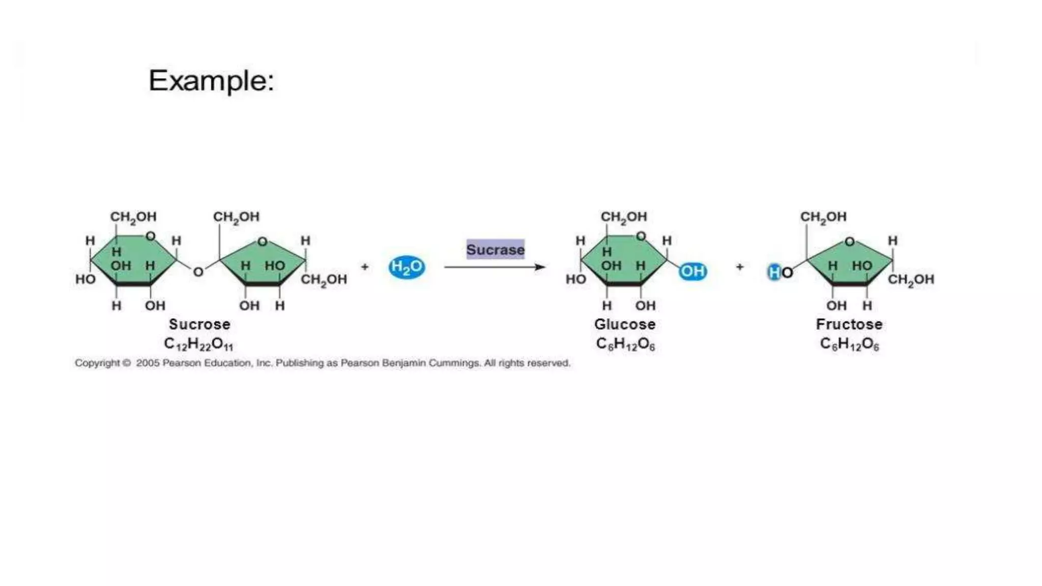 Enzymes the biological catalysts of life | PPTX