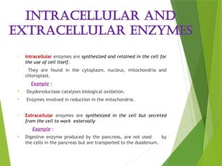 Enzyme_Structure and_Function [Autosaved]-1.pptx