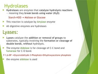 Enzyme_Structure and_Function [Autosaved]-1.pptx