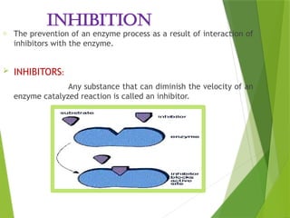 Enzyme_Structure and_Function [Autosaved]-1.pptx