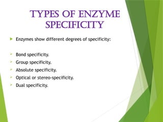 Enzyme_Structure and_Function [Autosaved]-1.pptx