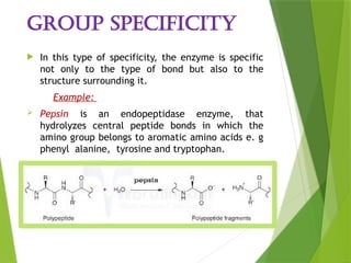 Enzyme_Structure and_Function [Autosaved]-1.pptx