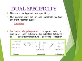 Enzyme_Structure and_Function [Autosaved]-1.pptx