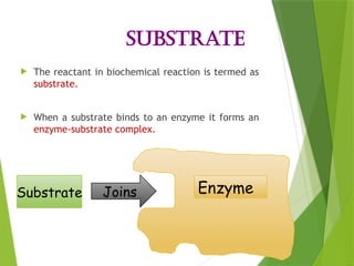 Enzyme_Structure and_Function [Autosaved]-1.pptx