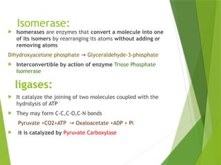 Enzyme_Structure and_Function [Autosaved]-1.pptx