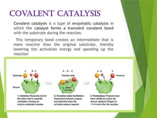 Enzyme_Structure and_Function [Autosaved]-1.pptx