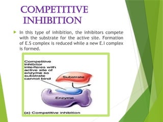 Enzyme_Structure and_Function [Autosaved]-1.pptx