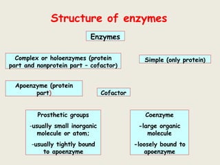 Enzyme structure, classification & MOA.pptx