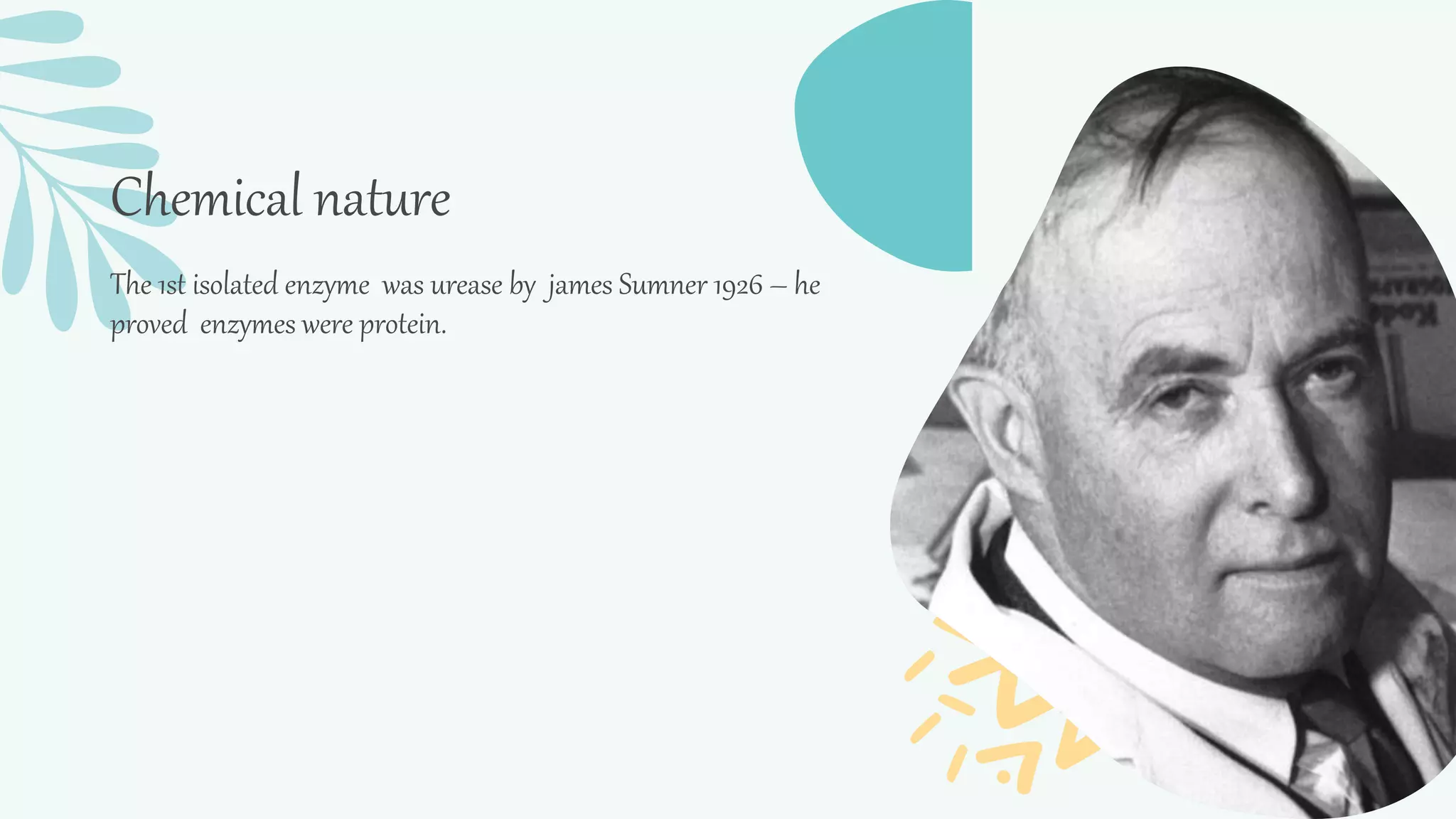 Enzymes-Biochemistry | PPTX