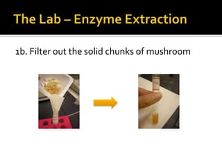 1b. Filter out the solid chunks of mushroom
 