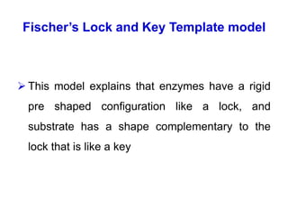 Enzymes for UNDERGRADUATES AS PER RECENT NMC CURICULLUMRRI | PPT