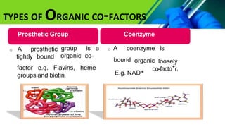 Prosthetic Group Examples POINT- BIOCHEMISTRY SEM 2 ENZYMES UNIT 5.pptx