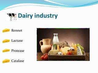 Enzymes used in food industry | PPTX