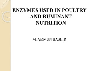 ENZYMES USED IN POULTRY
AND RUMINANT
NUTRITION
M. AMMUN BASHIR
 