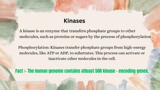 Enzymes used in Recombinant DNA technology | PDF
