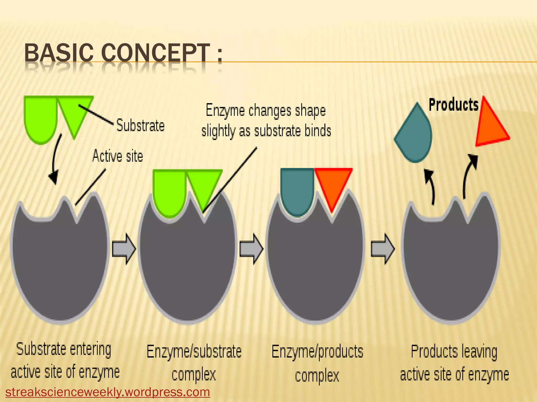 Enzyme system evolution | PDF