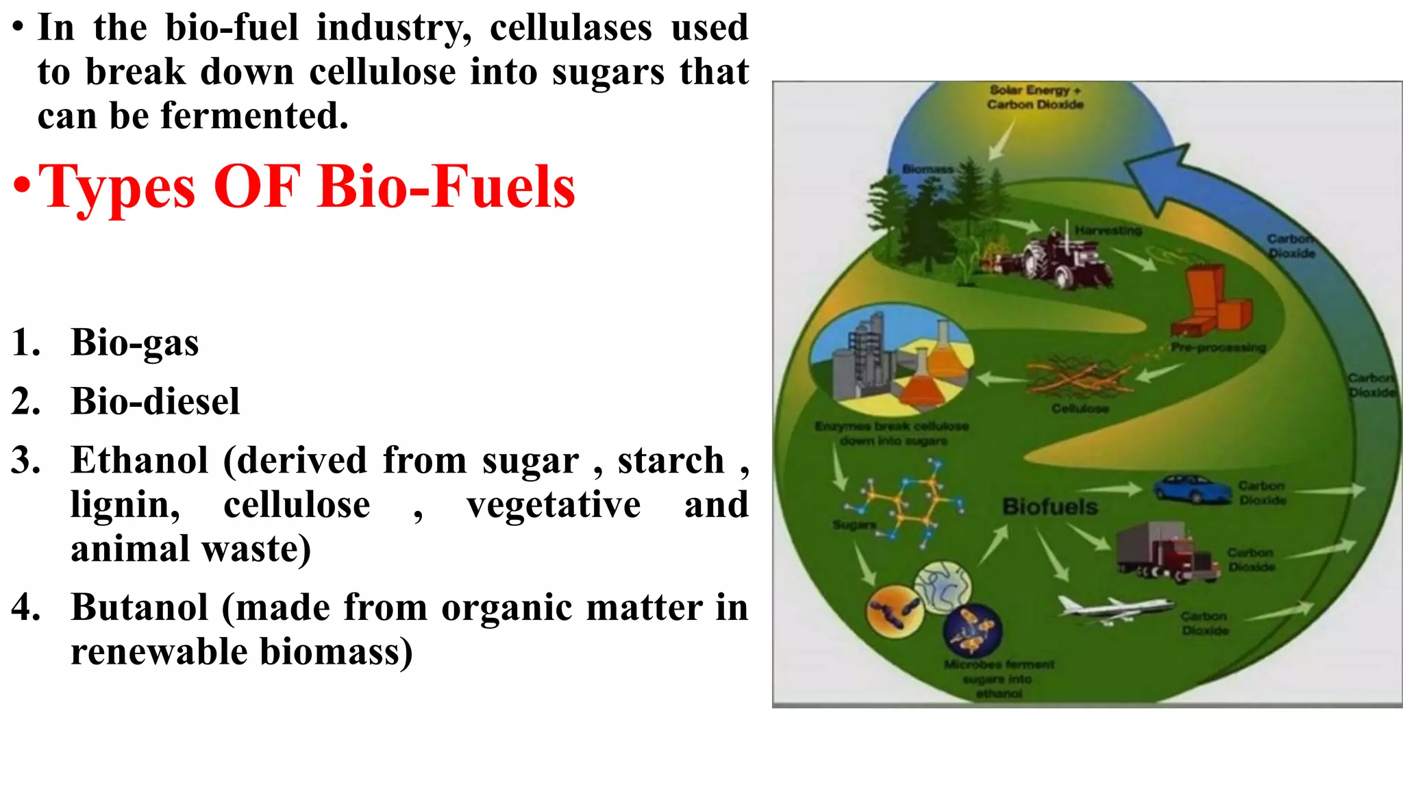 Enzyme technology | PPTX
