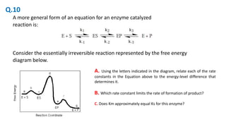 A more general form of an equation for an enzyme catalyzed
reaction is:
Consider the essentially irreversible reaction represented by the free energy
diagram below.
A. Using the letters indicated in the diagram, relate each of the rate
constants in the Equation above to the energy-level difference that
determines it.
B. Which rate constant limits the rate of formation of product?
C. Does Km approximately equal Ks for this enzyme?
Q.10
 