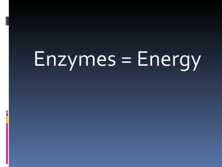 Enzymes = Energy 