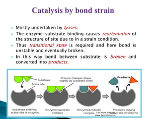  Mostly undertaken by lyases.
 The enzyme-substrate binding causes reorientation of
the structure of site due to in a strain condition.
 Thus transitional state is required and here bond is
unstable and eventually broken.
 In this way bond between substrate is broken and
converted into products.
For more Visit us:
www.dentaltutor.in
 