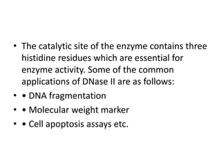 • The catalytic site of the enzyme contains three
histidine residues which are essential for
enzyme activity. Some of the common
applications of DNase II are as follows:
• • DNA fragmentation
• • Molecular weight marker
• • Cell apoptosis assays etc.
 