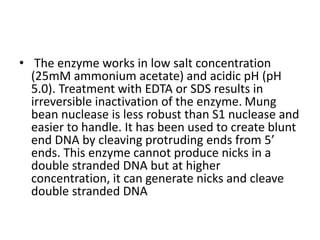 • The enzyme works in low salt concentration
(25mM ammonium acetate) and acidic pH (pH
5.0). Treatment with EDTA or SDS results in
irreversible inactivation of the enzyme. Mung
bean nuclease is less robust than S1 nuclease and
easier to handle. It has been used to create blunt
end DNA by cleaving protruding ends from 5’
ends. This enzyme cannot produce nicks in a
double stranded DNA but at higher
concentration, it can generate nicks and cleave
double stranded DNA
 