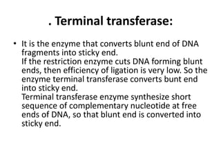 . Terminal transferase:
• It is the enzyme that converts blunt end of DNA
fragments into sticky end.
If the restriction enzyme cuts DNA forming blunt
ends, then efficiency of ligation is very low. So the
enzyme terminal transferase converts bunt end
into sticky end.
Terminal transferase enzyme synthesize short
sequence of complementary nucleotide at free
ends of DNA, so that blunt end is converted into
sticky end.
 