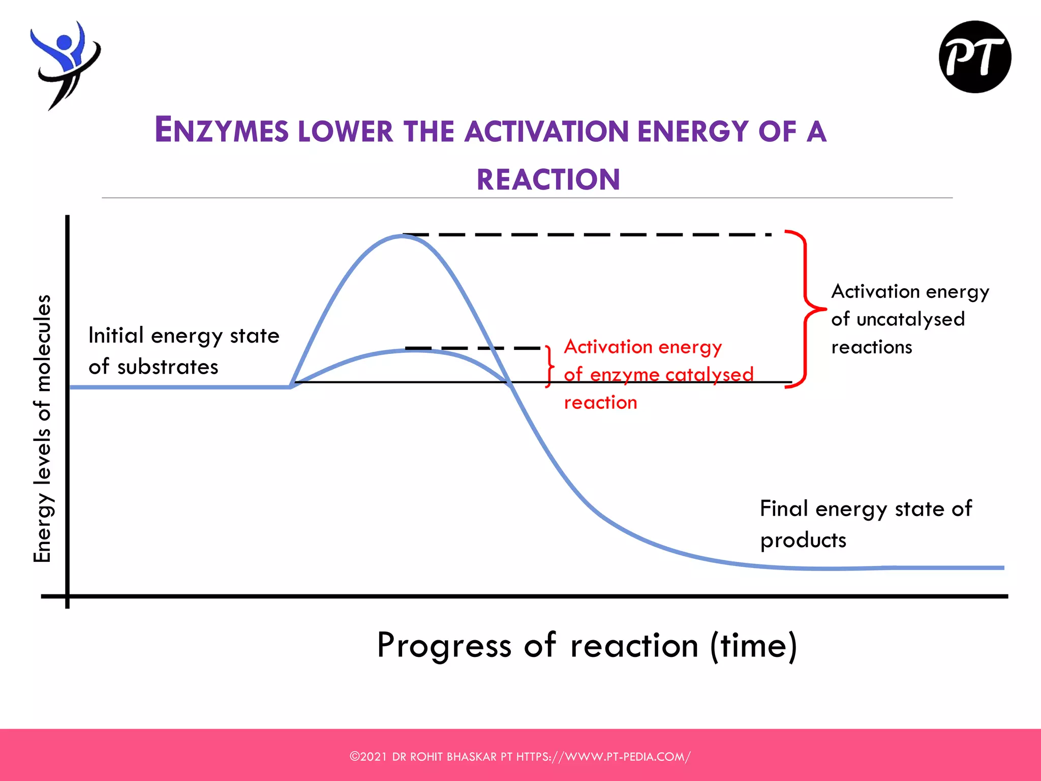 Enzymes - Structure, Classification, and Function - Dr Rohit Bhaskar | PDF
