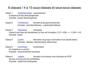 6 classes / 4 à 13 sous-classes et sous-sous-classes
Classe 1 Oxydoréductases oxydoréduction
la plupart sont des déshydrogénases
Exemple : lactate déshydrogénase
Classe 2 Transférases transfert de groupes fonctionnels
Exemple : aminotransférases ; -glutamyltransférase
Classe 3 Hydrolases hydrolyses
Classe à part dans les transférases où l’eau est l’accepteur: C-Z + HOH ------ C-OH + H-Z
Exemple : lipase
Classe 4 Lyases élimination de groupe et formation d’une double liaison
Exemple : aldolase, décarboxylase, désaminase
Classe 5 Isomérases isomérisation
Un substrat et un produit
Exemple : triose phosphate isomérase
Classe 6 Ligases formation d’une liaison avec hydrolyse de l’ATP
les plus connues sont les synthétases
Exemple : acétyl-CoA-carboxylase
 